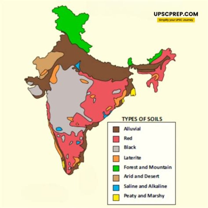 What type of soil is in India?