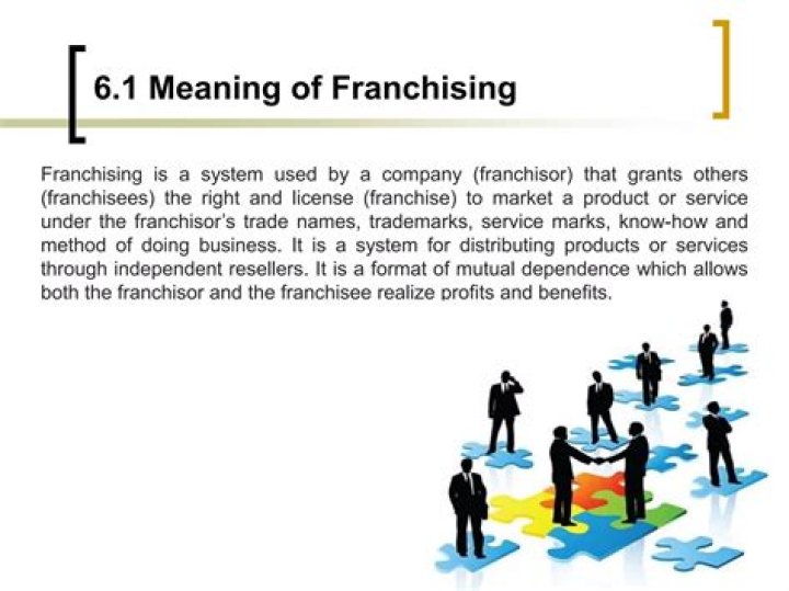 What type of support is provided by the franchisor?