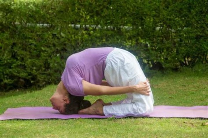 What type of yoga is Sivananda Yoga?