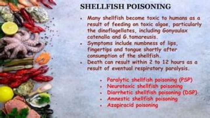 What types of organisms are responsible for diarrhetic shellfish poisoning?