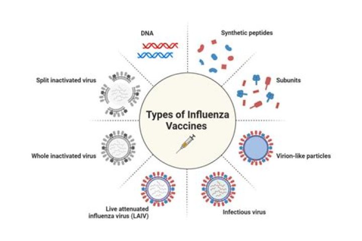 What vaccines are used for prophylaxis of influenza?