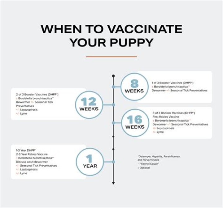 What vaccines do 8 week old puppies need?