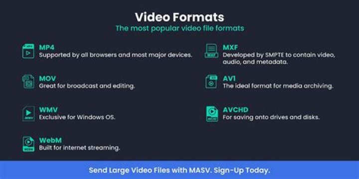 What video formats do browsers support?