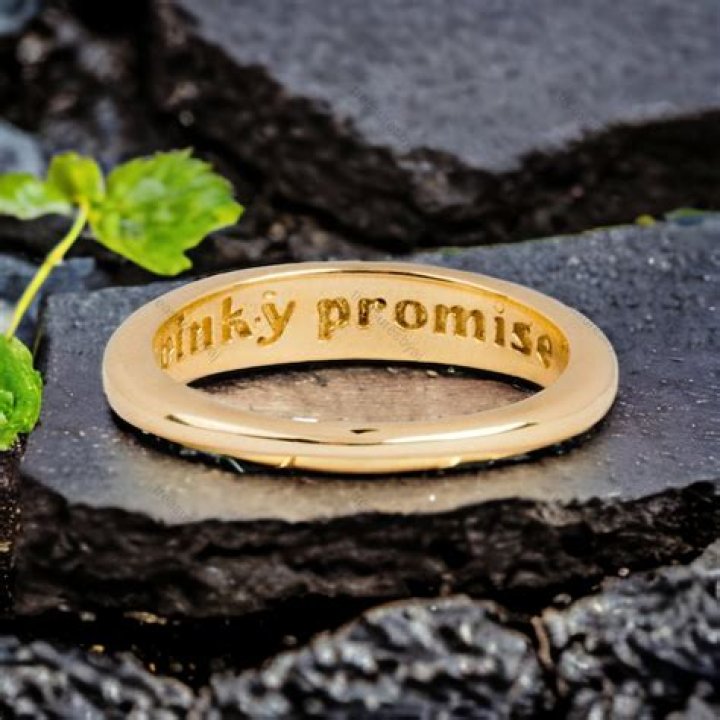 What was Bayeks promise?