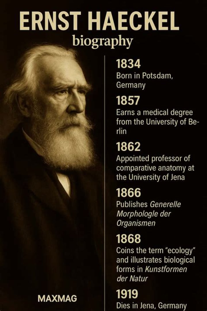 What was Ernst Haeckel art style?