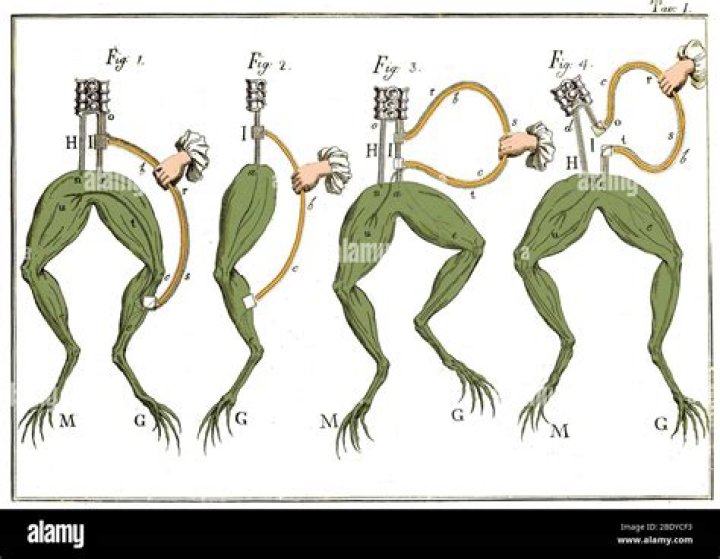 What was Luigi Galvani frog experiment?