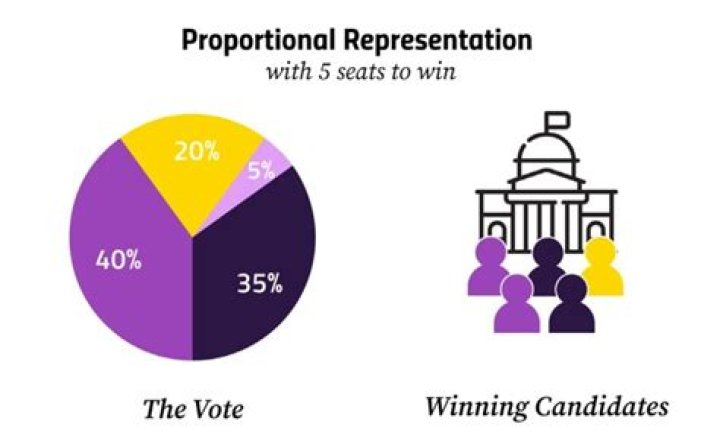 What was meant by proportional representation?