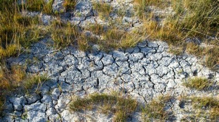 What was the climate like in the Cretaceous?