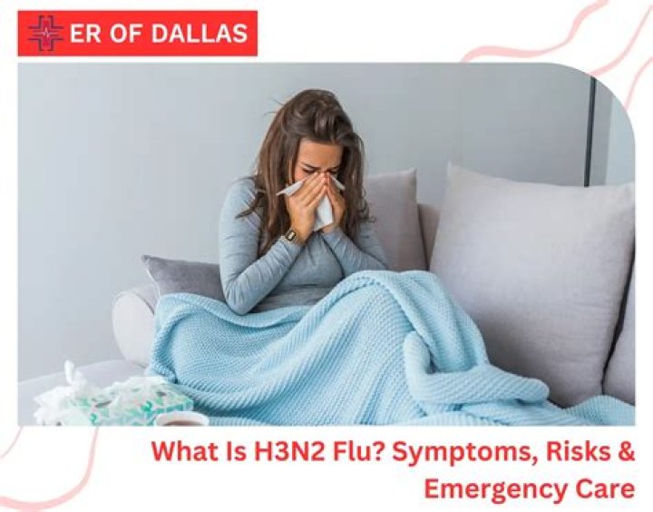 What was the H3N2 flu called?