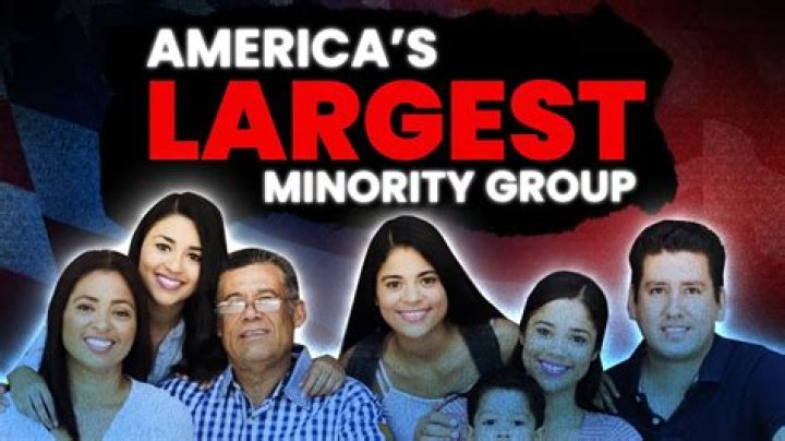 What was the largest minority group in 2010?