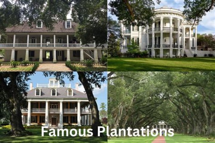 What was the main goal for owners of large plantations?