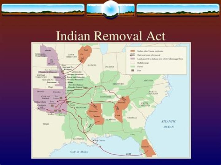 What was the main reason for the Indian Removal Act?