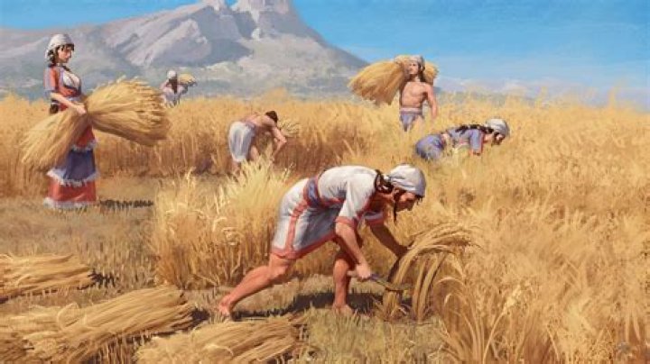 What was the most common job in ancient Greece?