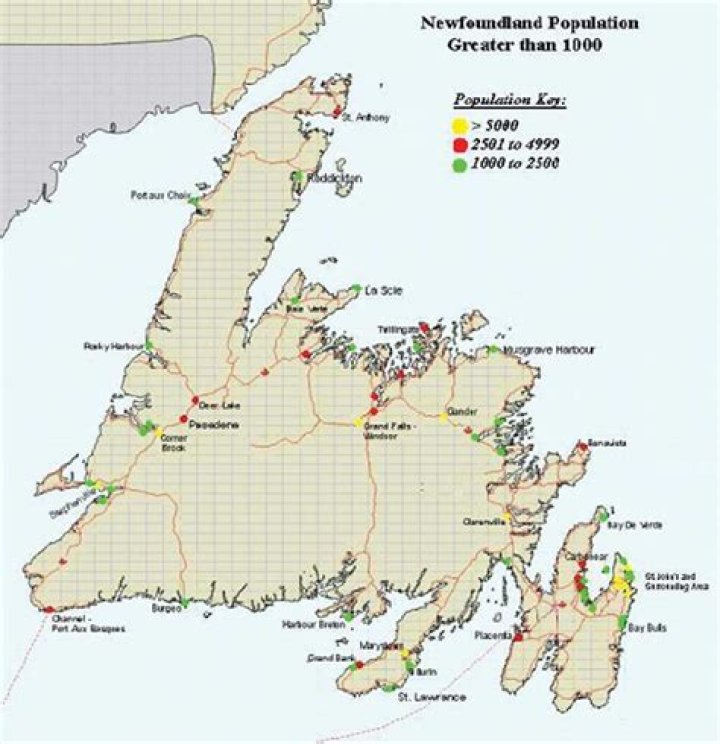 What was the population of Newfoundland in the 1800s?