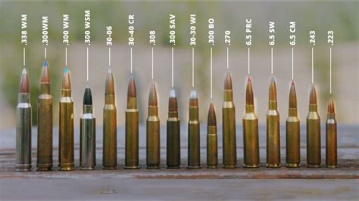 What were the greased cartridges?