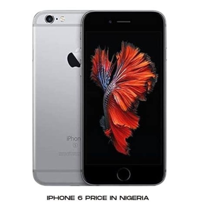 What will the iPhone 6 cost?