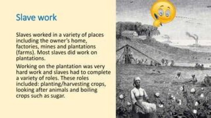 What work did slaves do on plantations?