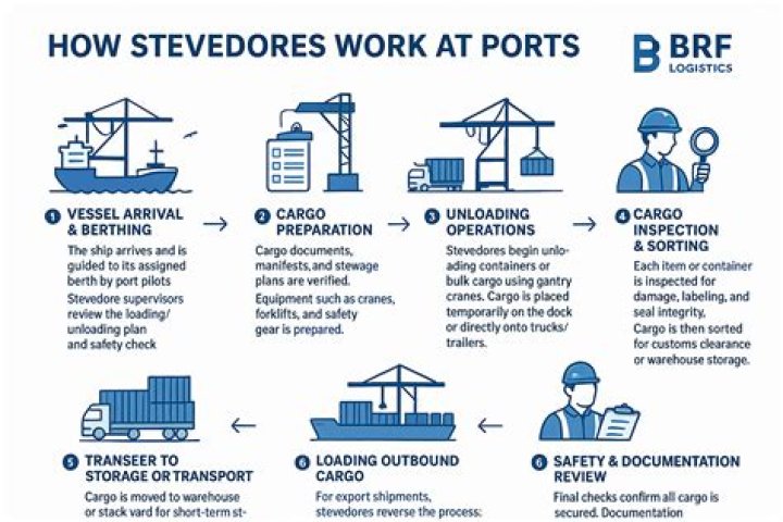 What work does a stevedore do?