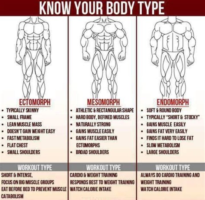 What workouts are best for Endomorphs?