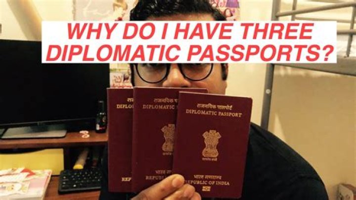 Whats does diplomatic mean?
