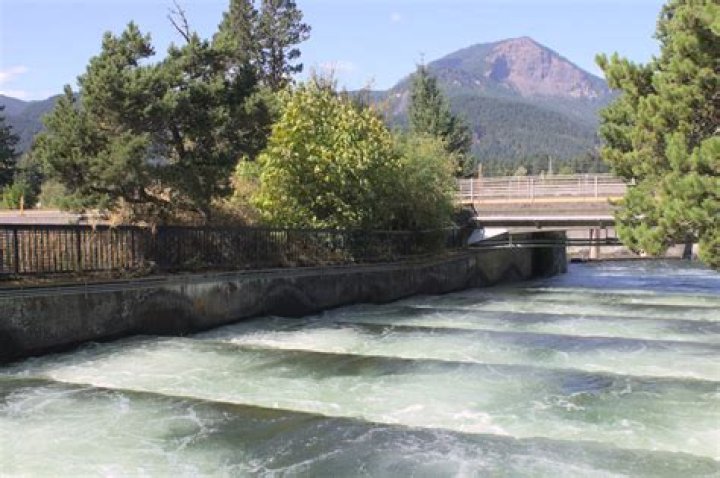 When can you see fish at Bonneville Dam?