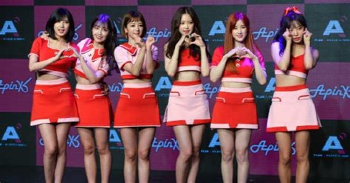 When did Apink disband?