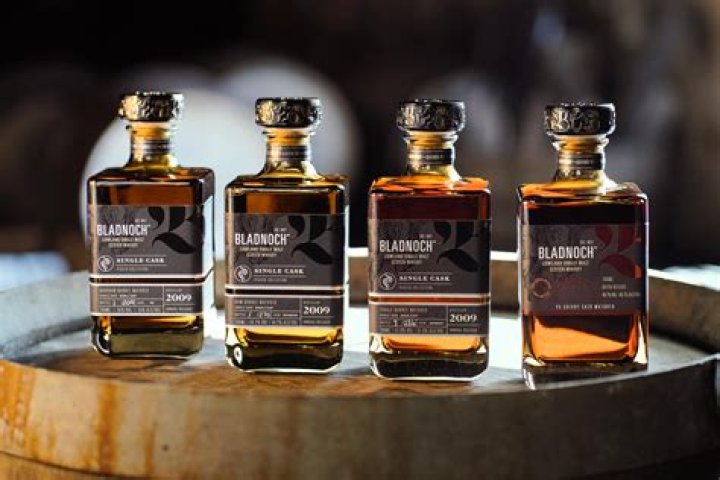 When did Bladnoch distillery close?