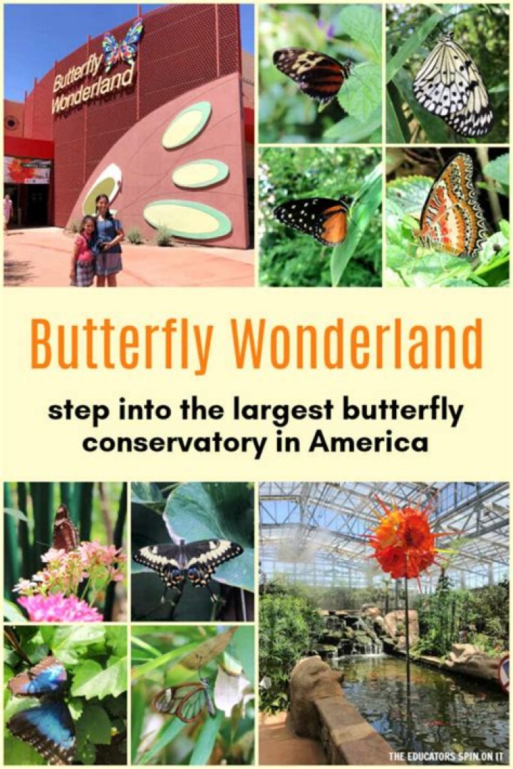 When did Butterfly Wonderland open?