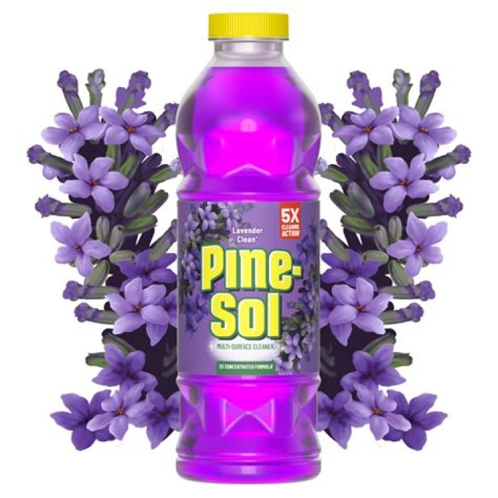 When did Pine-Sol change?