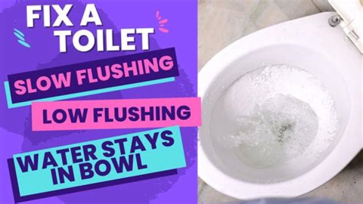 When I flush my toilet my bathtub gurgles?