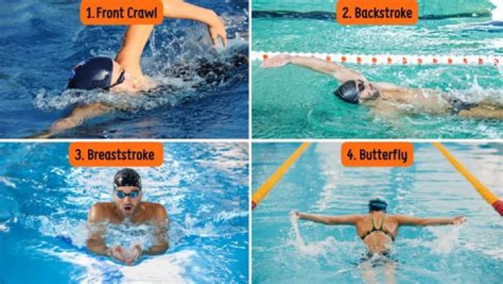 When in the freestyle stroke should you take a breath?
