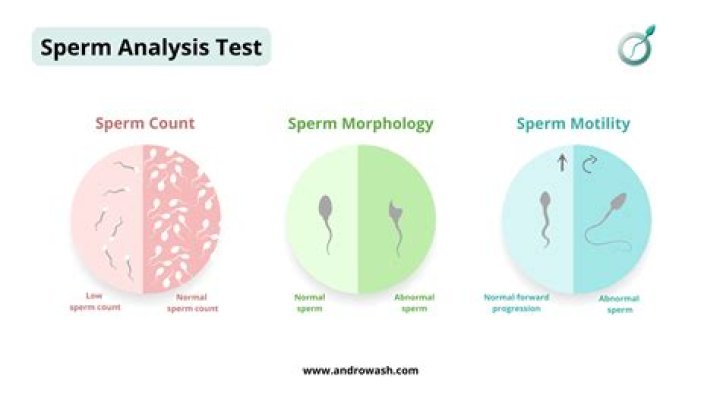 When should a sperm analysis be repeated?