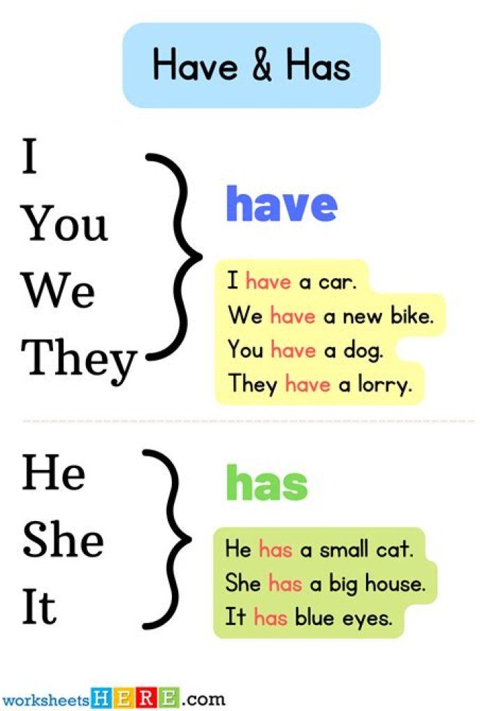 When to use has not and have not?