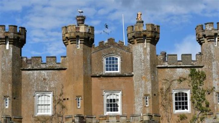 When was Knepp Castle built?