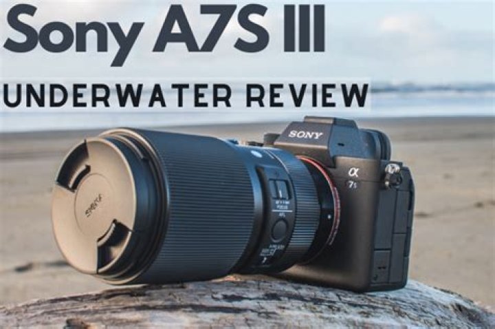 When was Sony A7S released?