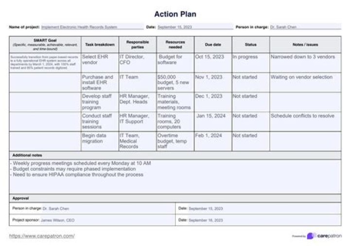 When was the direct action plan introduced?