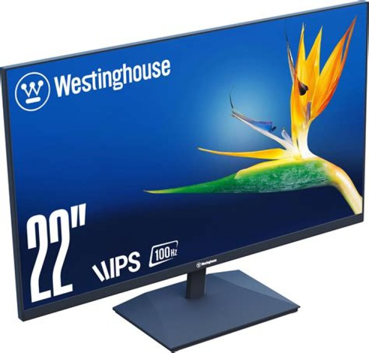 When was the HP w2207h made?