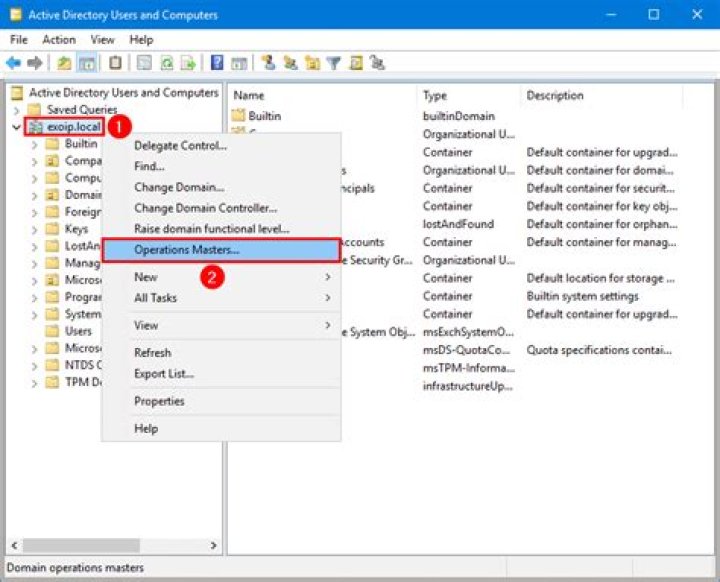 Where are FSMO roles in Active Directory?