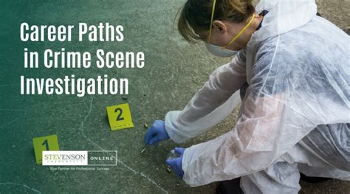 Where are most CSI jobs located?