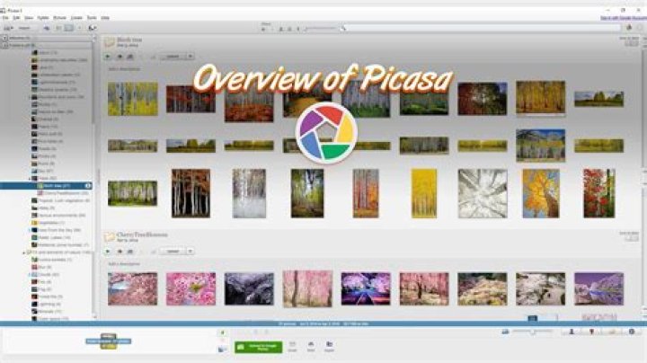 Where are my Picasa videos?