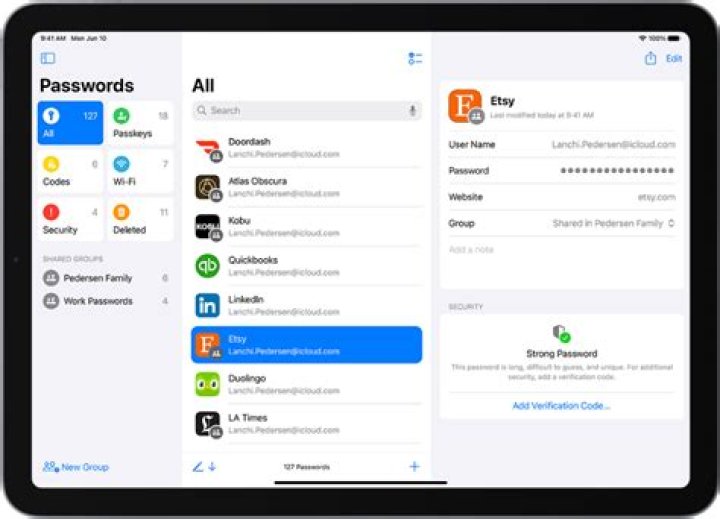 Where are passwords stored on iPad?