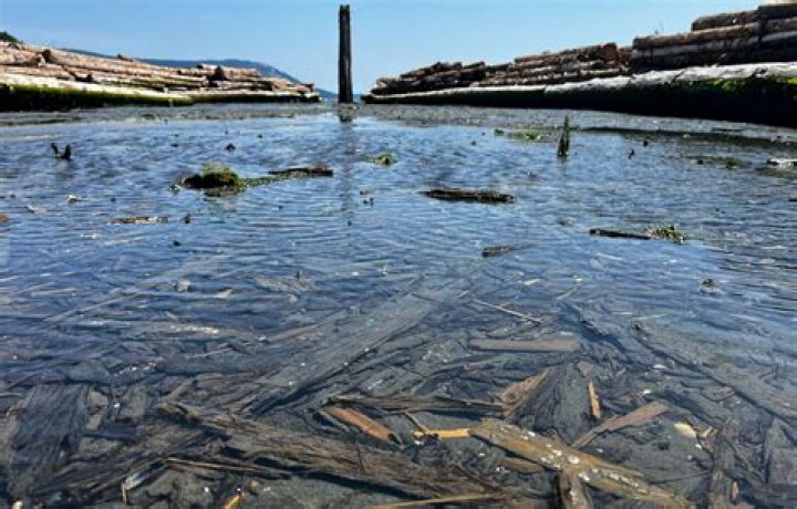 Where are sar logs stored?