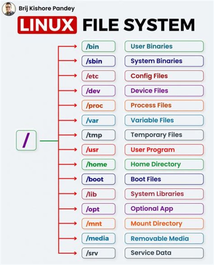 Where are the ring buffer logs stored in Linux?