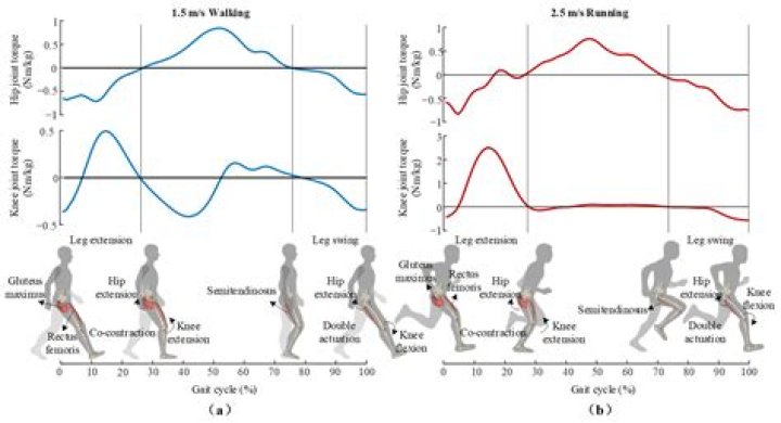 Where can a human kinetics work?