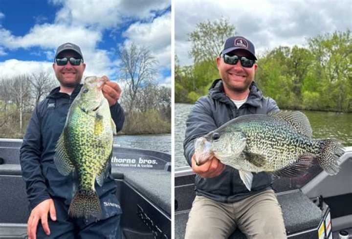 Where can I catch crappie in Lake Murray?