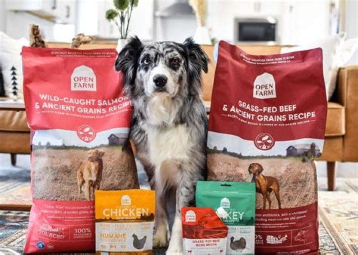 Where can I donate open dog food in Seattle?