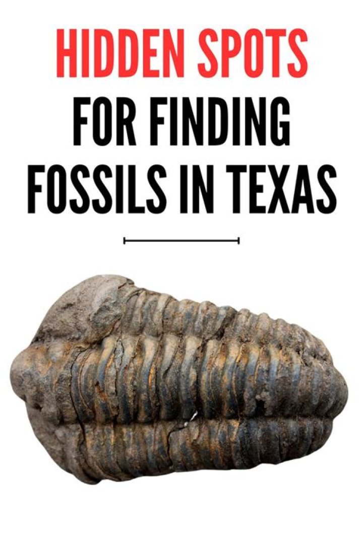 Where can I find fossils in North Texas?