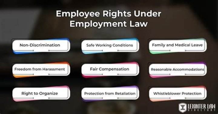 Where can I find information on employment rights and responsibilities internally?