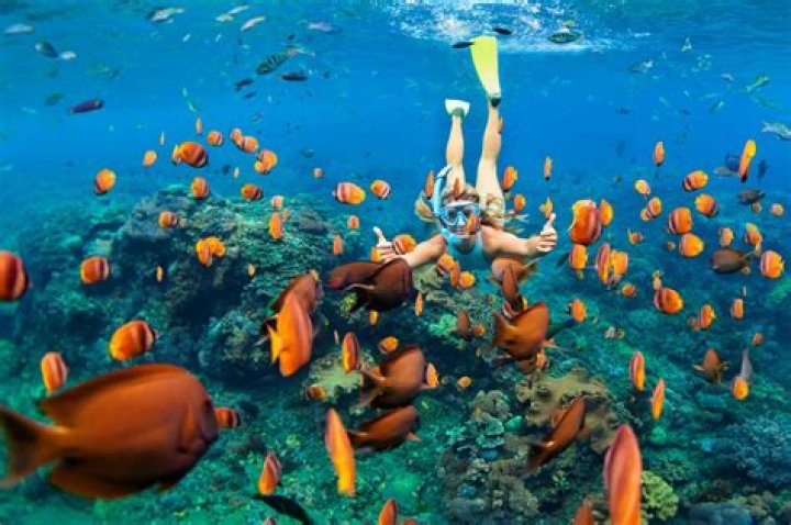Where can I snorkel in November?