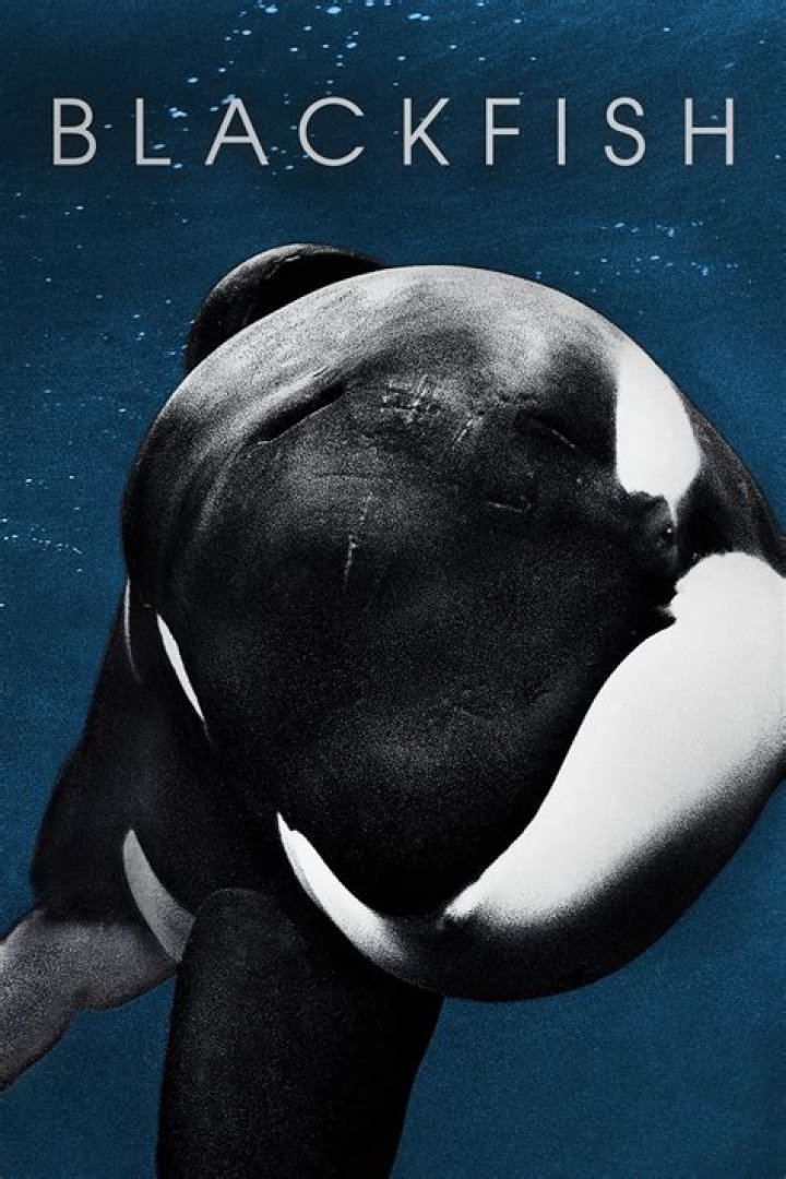Where can I watch Blackfish 2021?